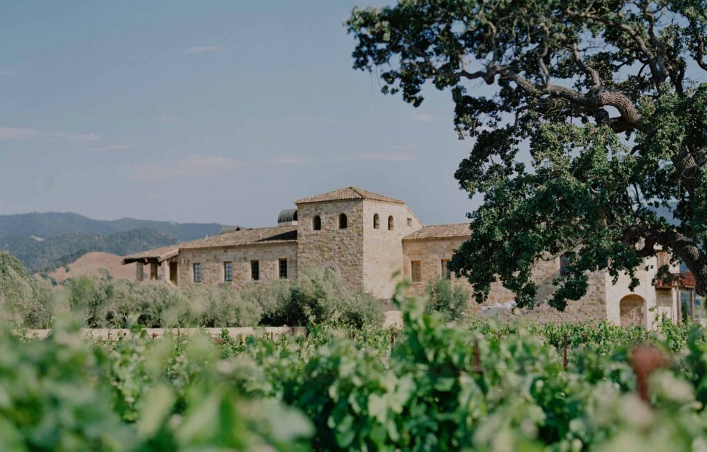 Vines beside the Sunstone villa