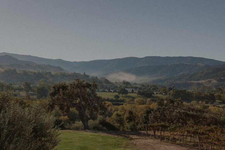 Hills around the Sunstone estate