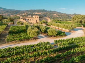 The Sunstone Villa seen from above, surrounded by vineyard rows