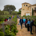 A photograph from STOMP 2022, Sunstone’s annual harvest celebration