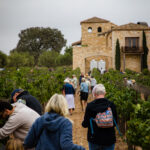 A photograph from STOMP 2022, Sunstone’s annual harvest celebration
