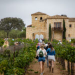 A photograph from STOMP 2022, Sunstone’s annual harvest celebration