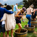 A photograph from STOMP 2022, Sunstone’s annual harvest celebration