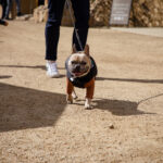 A photograph from Eros Weekend 2023 at Sunstone Winery