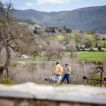 A photograph from Eros Weekend 2023 at Sunstone Winery