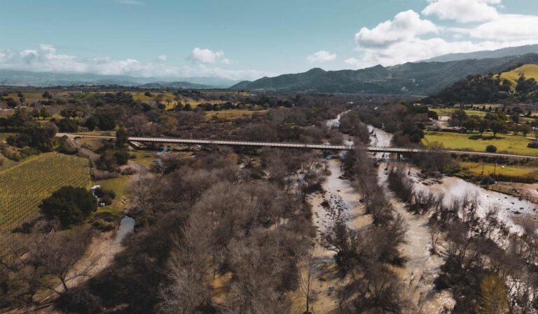 The Santa Ynez River running high and silt-brown past the vineyard, seen from the air