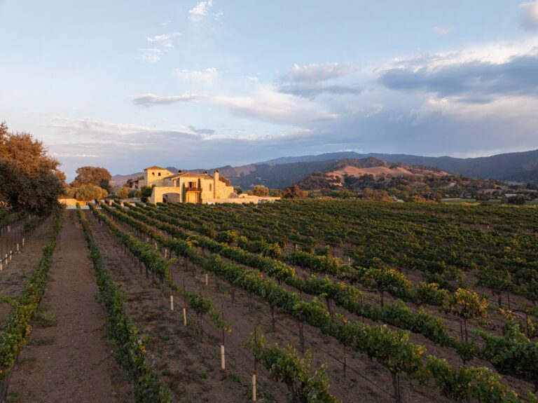 Sunstone Villa — 37 Sunstone Villa – View from Vineyard